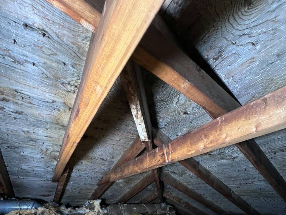 Attic rafters and roof decking above old insulation in an East Texas home
